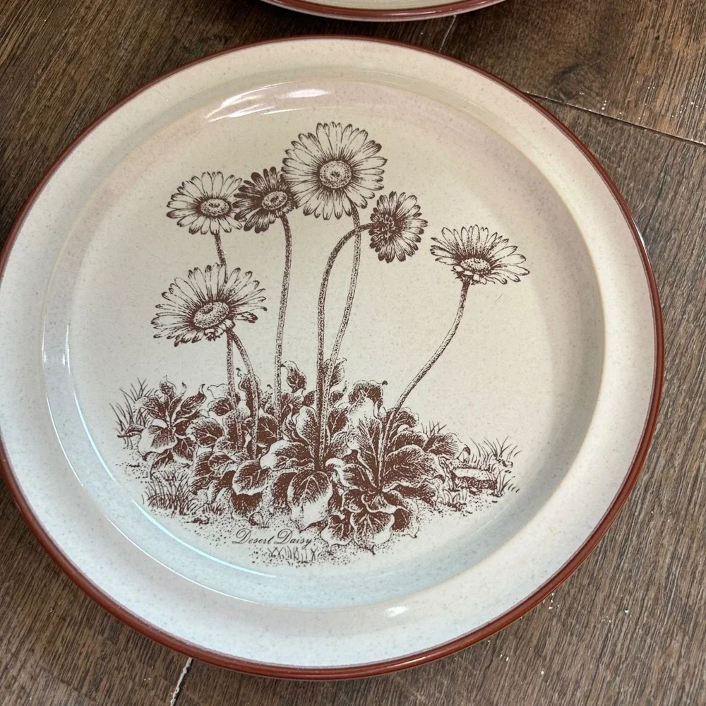 Noritake Desert Flowers Stoneware Salad Plates Set of 4 Brown Daisy S 321 Japan‎